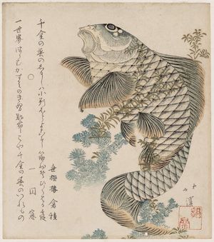 Totoya Hokkei: Carp and Seaweed - Museum of Fine Arts
