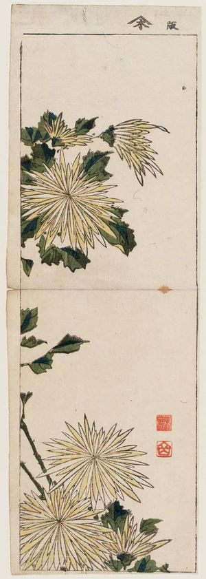 Taigaku: Flowers and leaves - Museum of Fine Arts
