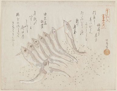 Teisai Hokuba: Dried Fish - Museum of Fine Arts
