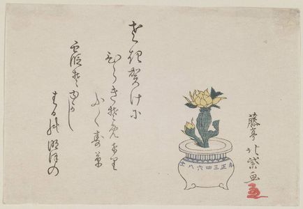 Japanese Print "Potted Adonis Plant" by Tôtei Hokushi