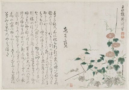 Gomeirô Takigawaによる浮世絵「Morning Glories」