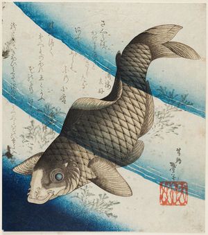 Katsushika Taito II: Carp in Water - ボストン美術館