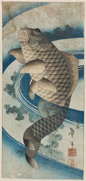 Katsushika Taito II: Carp - Museum of Fine Arts