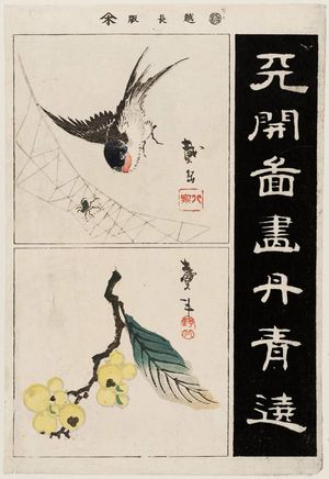 Katsushika Taito II: Swallow and Spider; Branch of Loquat; Calligraphy (harimaze) - Museum of Fine Arts