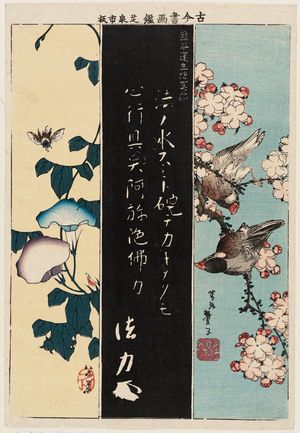 Katsushika Taito II: Finches on a Cherry Branch, Rubbing of Calligraphy of Kumagai Naozane (Kumagai Renshôbô shinseki), and Morning Glories and Bee, from the series Mirror of Calligraphy and Paintings, Old and New (Kokon shoga kagami) - Museum of Fine Arts