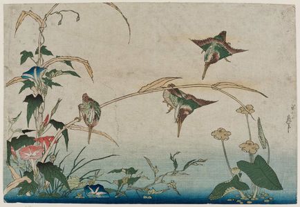 葛飾北斎: Kingfishers, Reeds, and Morning Glories - ボストン美術館