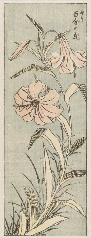 葛飾北斎: Yuri no hana (Single stalk of lilies); From Hokusai Gwaen vol. 3, sheet 