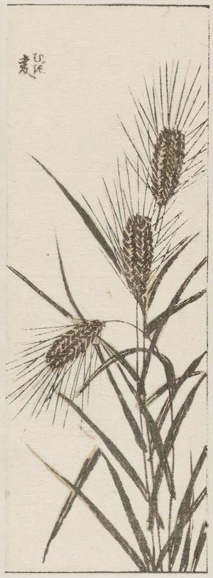 Katsushika Hokusai: Mugi (Wheat stalks); from Hokusai Gwaen Vol. 3, sheet 