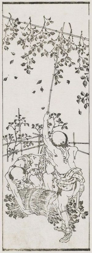 Katsushika Hokusai: Drying Leaves (right). From Ehon Teikin Orai, vol.I sheet 26, front; sheet 28, front; sheet 23, front - Museum of Fine Arts