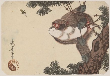 Rokubei: Monkey clinging to a vine on a pine tree and watching a wasp - Museum of Fine Arts
