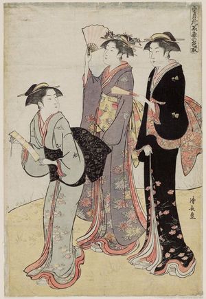 Torii Kiyonaga: Flowers, from the series A Combination of Three Colors: Snow, Moon, and Flowers (Setsugekka mitsu no irodori) - Museum of Fine Arts