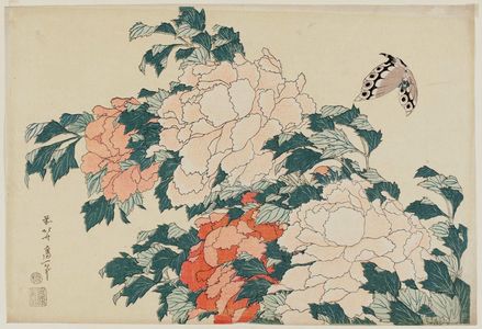 Katsushika Hokusai: Peonies and Butterfly, from an untitled series known as Large Flowers - Museum of Fine Arts