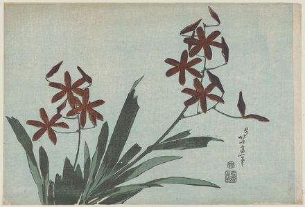 Katsushika Hokusai: Orange Orchids, from an untitled series known as Large Flowers - Museum of Fine Arts