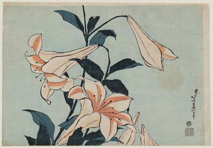 葛飾北斎: Lilies, from an untitled series known as Large Flowers - ボストン美術館