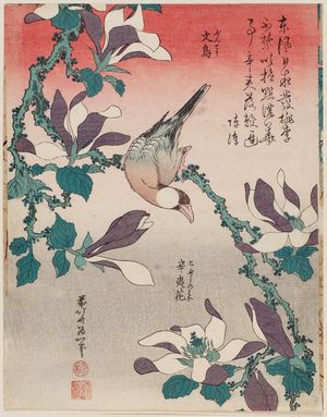 葛飾北斎: Java Sparrow on Magnolia (Bunchô, kobushi no hana), from an untitled series known as Small Flowers - ボストン美術館