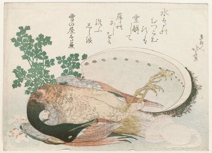 葛飾北斎: Dead Mallard, Abalone Shell, and Stew Ingredients - ボストン美術館