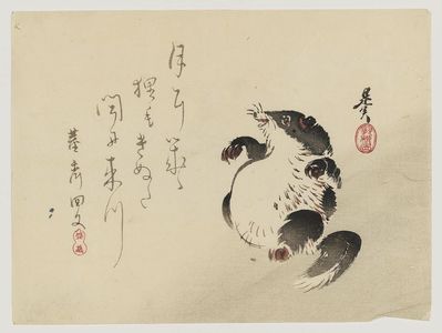Shibata Zeshin: Racoon-dog (Tanuki) - Museum of Fine Arts