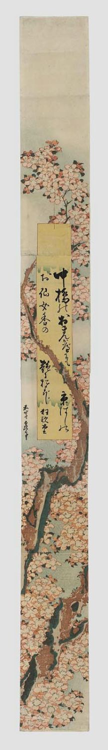 Katsushika Hokusai: Flowering Cherry Branch, with advertisement for Senjokô - Museum of Fine Arts