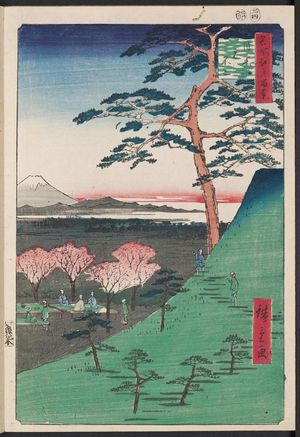 Utagawa Hiroshige: Original Fuji, Meguro (Meguro Moto-Fuji), from the series One Hundred Famous Views of Edo (Meisho Edo hyakkei) - Museum of Fine Arts