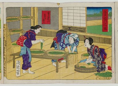 Toyohara Chikanobu: Album of Ten Prints Illustrating Sericulture: Introducing Worms to Mulberry Leaves - Museum of Fine Arts