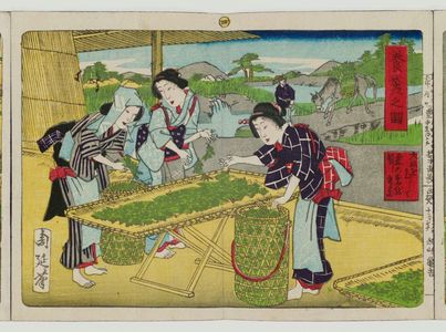 Toyohara Chikanobu: Album of Ten Prints Illustrating Sericulture: Feeding Silkworms - Museum of Fine Arts