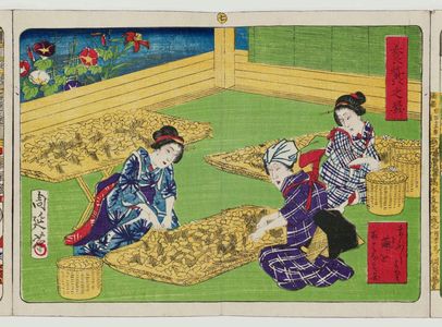 Toyohara Chikanobu: Album of Ten Prints Illustrating Sericulture: Separating Cocoons from Straw Housing - Museum of Fine Arts
