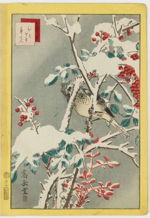 Nakayama Sûgakudô: No. 45, Bulbul and Nandina (Hiyodori nanten), from the series Forty-eight Hawks Drawn from Life (Shô utsushi yonjû-hachi taka) - Museum of Fine Arts