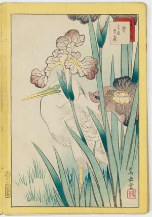 Nakayama Sûgakudô: No. 17, Heron and Iris (Sagi hanashôbu), from the series Forty-eight Hawks Drawn from Life (Shô utsushi yonjû-hachi taka) - ボストン美術館