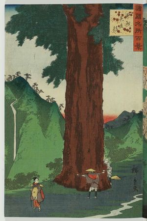 Utagawa Hiroshige II: The Yatate Cedar Tree in Kai Province (Kôshû Yatate sugi), from the series One Hundred Famous Views in the Various Provinces (Shokoku meisho hyakkei) - Museum of Fine Arts
