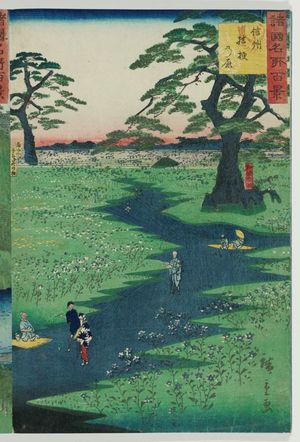 二歌川広重: Field of Bellflowers in Shinano Province (Shinshû kikyô no hara), from the series One Hundred Famous Views in the Various Provinces (Shokoku meisho hyakkei) - ボストン美術館