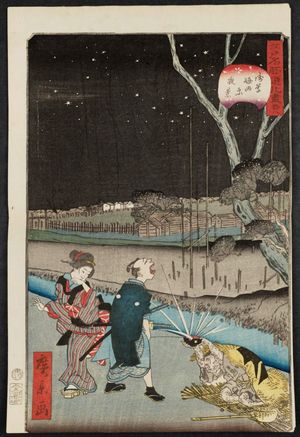歌川広景: No. 18, Night Scene at Horitahara in Asakusa (Asakusa Horitahara yakei), from the series Comical Views of Famous Places in Edo (Edo meisho dôke zukushi) - ボストン美術館