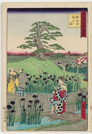 三代目歌川広重: Irises at Horikiri Village (Horikiri no sato hanashôbu), from the series Famous Places in Tokyo (Tôkyô meisho zue) - ボストン美術館