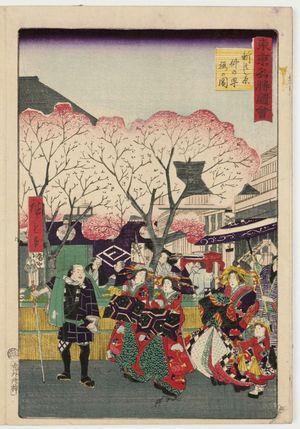 三代目歌川広重: Cherry Blossoms at Naka-no-chô in the New Yoshiwara (Shin Oshiwara Naka-no-chô sakura no zu), from the series Famous Places in Tokyo (Tôkyô meisho zue) - ボストン美術館