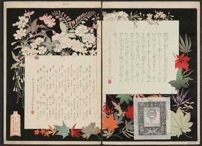 Mizuno Toshikata: Title page, from the series Thirty-six Elegant Selections (Sanjûroku kasen) - Museum of Fine Arts