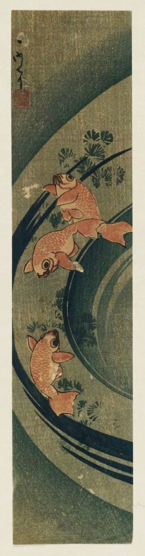 Ichimei: Goldfish and Water Plants - ボストン美術館