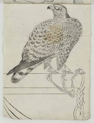 Unknown: Falcon on Perch - Museum of Fine Arts