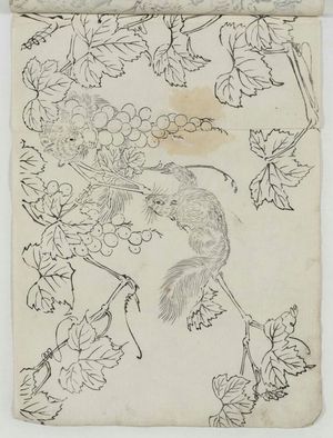 Unknown, 無款 (Artist Unknown, Japanese)による浮世絵「Squirrels and Grapes」