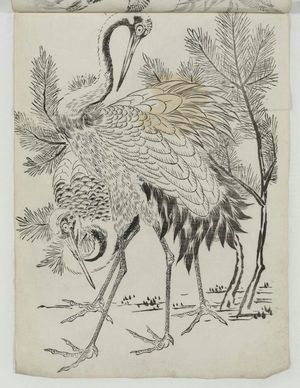 Unknown: Cranes and Pine Shoots - Museum of Fine Arts