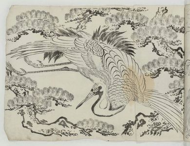 Unknown: Flying Crane and Pine Tree - Museum of Fine Arts