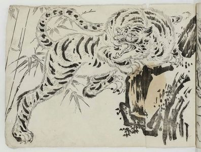 Unknown: Tiger - Museum of Fine Arts