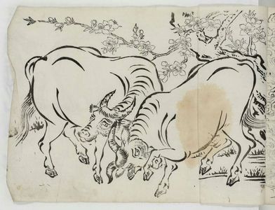 Unknown: Oxen - Museum of Fine Arts