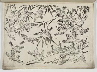 Unknown: Flock of Sparrows in Bamboo - Museum of Fine Arts