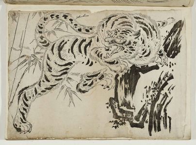 Unknown: Tiger - Museum of Fine Arts