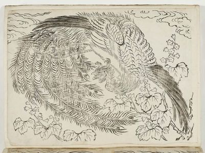 Unknown, 無款 (Artist Unknown, Japanese)による浮世絵「Phoenix and Paulownia」