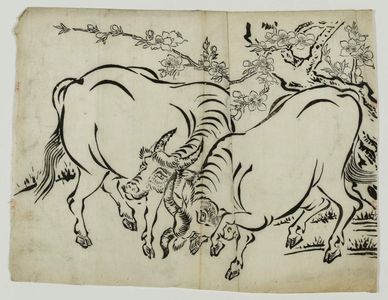 Unknown: Oxen - Museum of Fine Arts