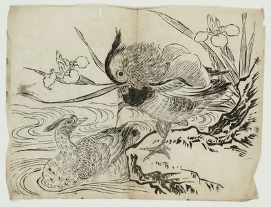 Japanese Print "Mandarin Ducks" by Unknown, 無款 (Artist Unknown, Japanese)