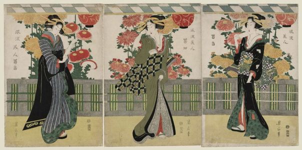 Kikugawa Eizan: Fashionable Beauties in a Chrysanthemum Garden (Fûryû bijin kikubatake) - Museum of Fine Arts
