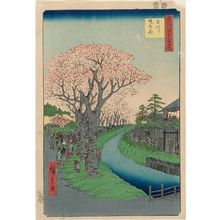 歌川広重: Cherry Blossoms on the Tama River Embankment (Tamagawa-zutsumi no hana), from the series One Hundred Famous Views of Edo (Meisho Edo hyakkei) - ボストン美術館