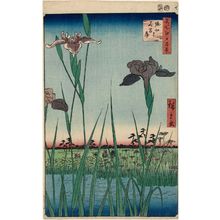 歌川広重: Horikiri Iris Garden (Horikiri no hanashôbu), from the series One Hundred Famous Views of Edo (Meisho Edo hyakkei) - ボストン美術館