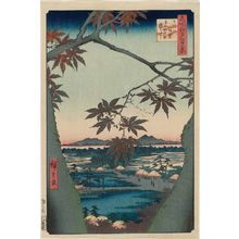 歌川広重: Maple Trees at Mama, Tekona Shrine and Linked Bridge (Mama no momiji Tekona no yashiro Tsugihashi), from the series One Hundred Famous Views of Edo (Meisho Edo hyakkei) - ボストン美術館